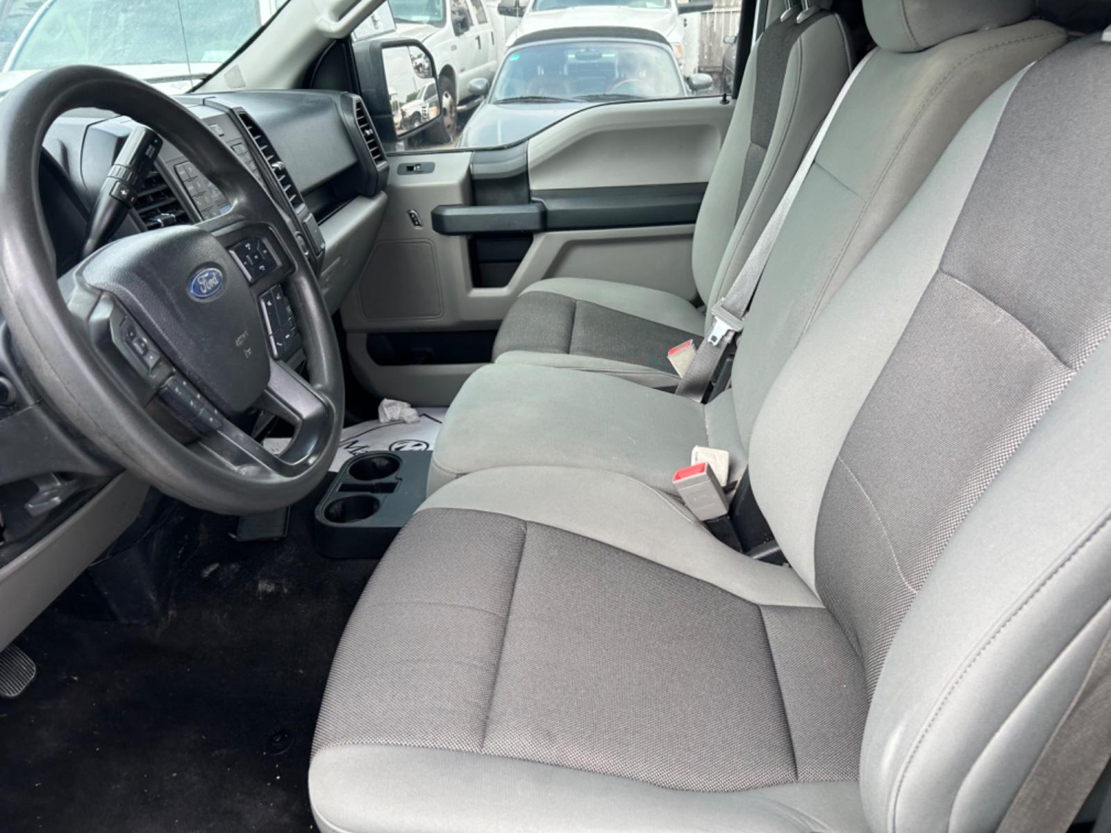 2019 White Ford F-150 (1FTEW1C55KK) with an 5.0L V8 F DOHC 32V engine, Automatic transmission, located at 1687 Business 35 S, New Braunfels, TX, 78130, (830) 625-7159, 29.655487, -98.051491 - Photo #10